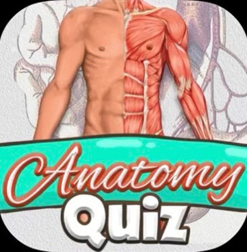 Anatomy Quizz