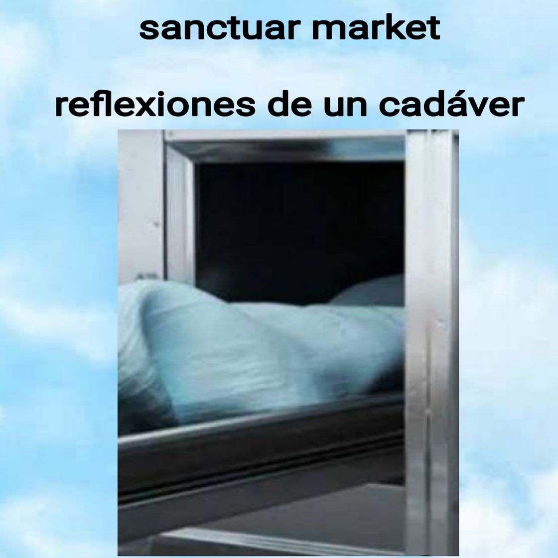 Book Reflexiones de un cadáver