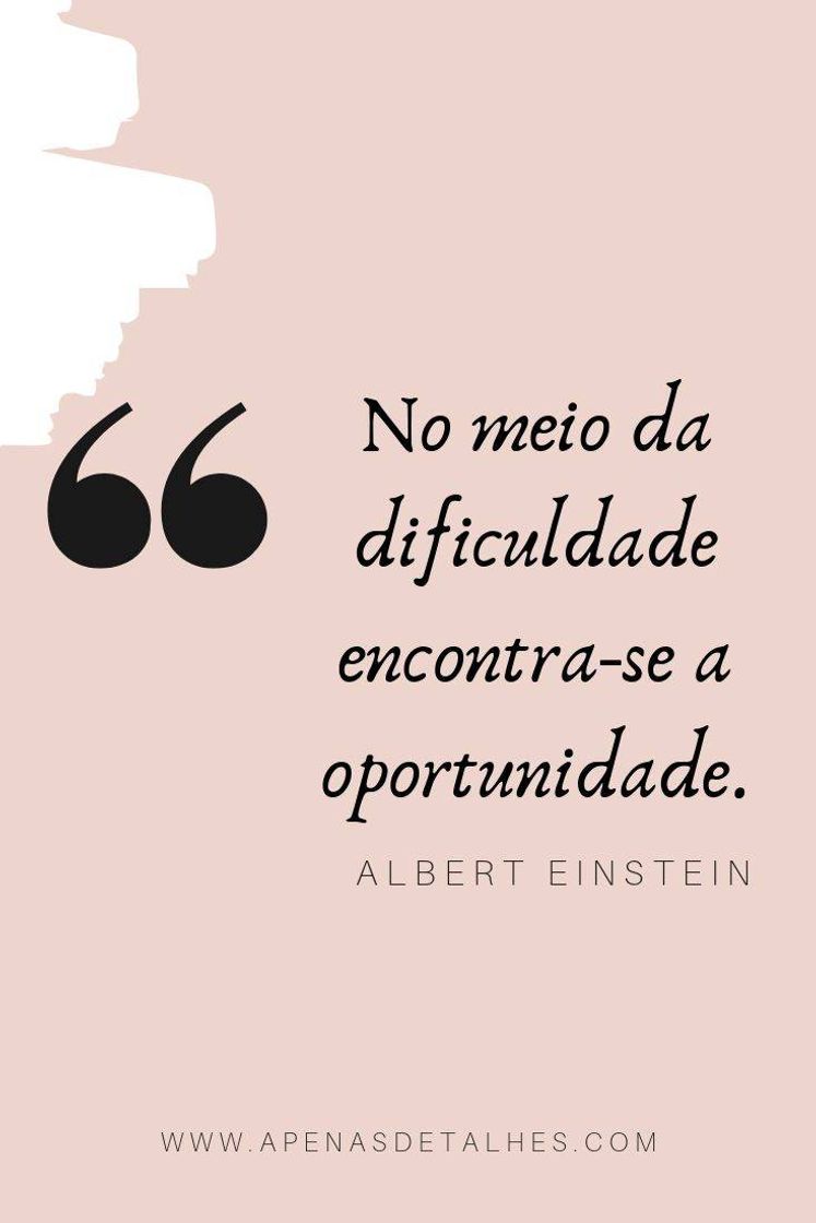 Fashion Frase