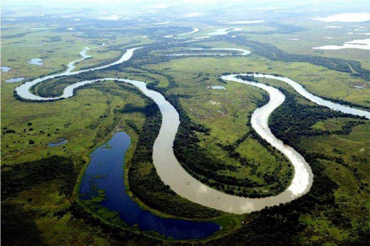 Fashion Pantanal/matogrosso