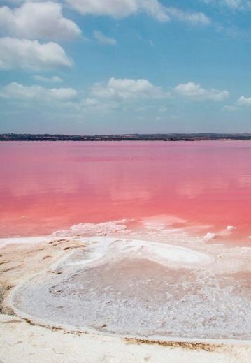 Torrevieja Pink Lake