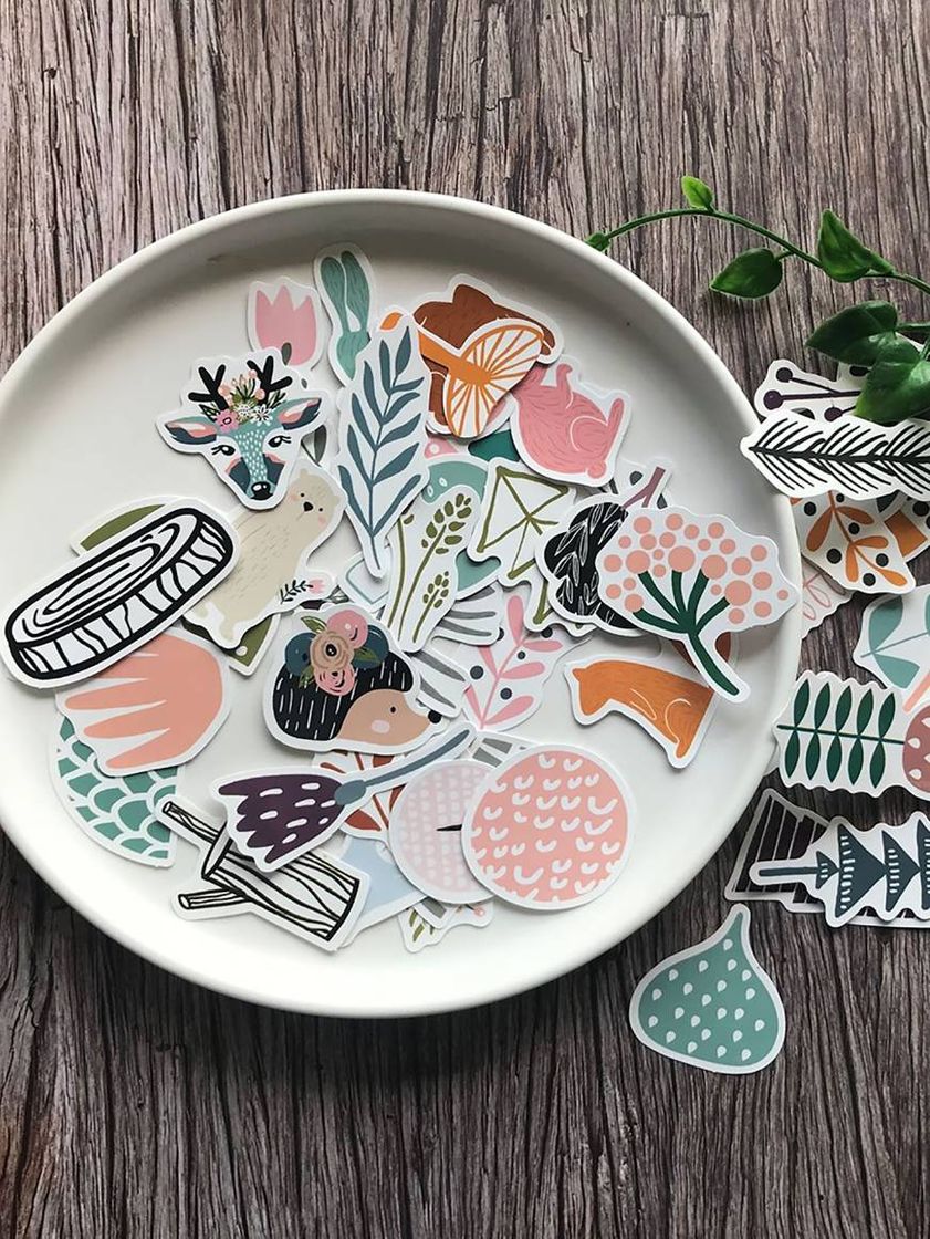 Social 📚 50 peças de adesivos de plantas e animais