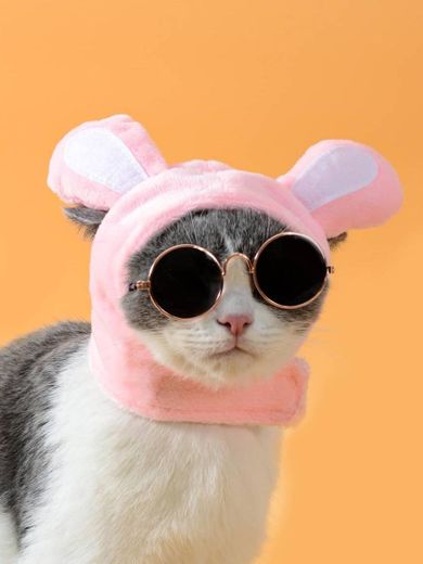 🐾 1 chapéu 3D com orelha e 1 par de óculos de sol para gato