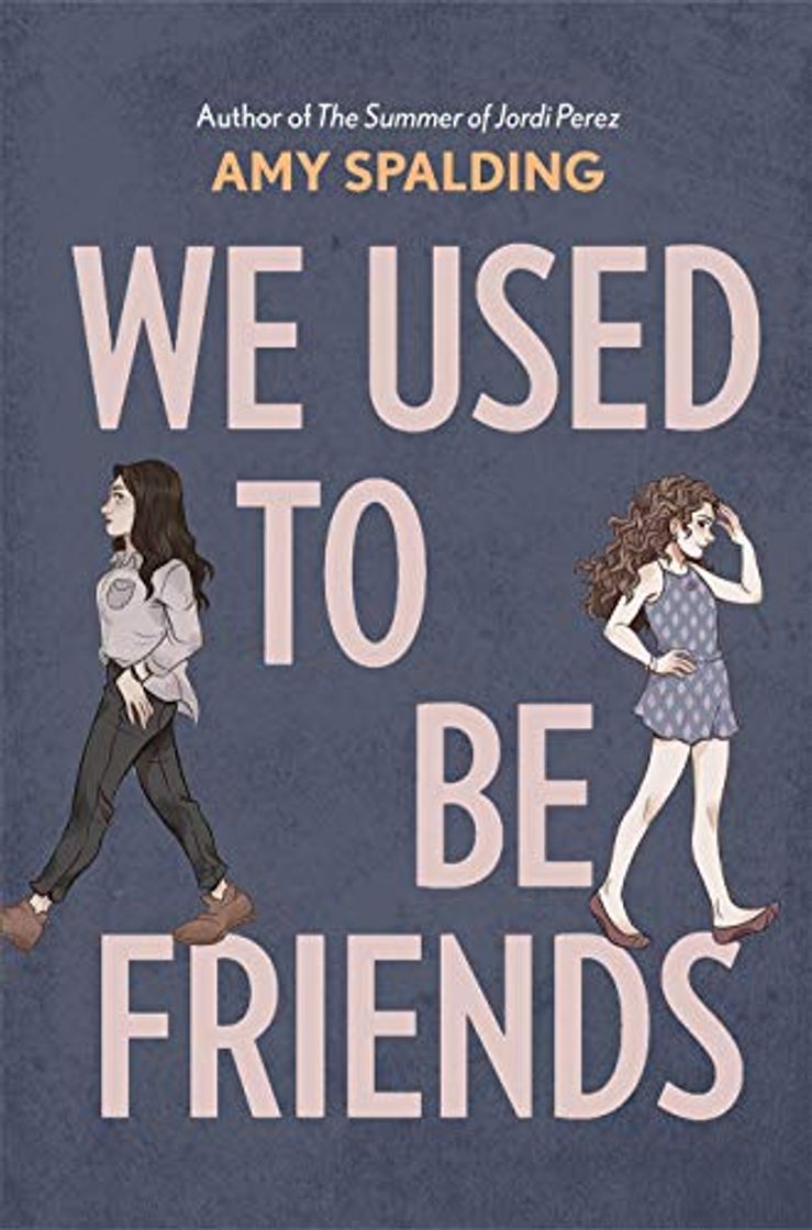 Book We Used To Be Friends