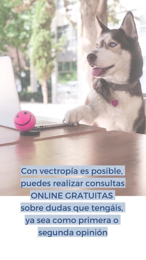 Consultas online gratuitas tu veterinaria 24/7