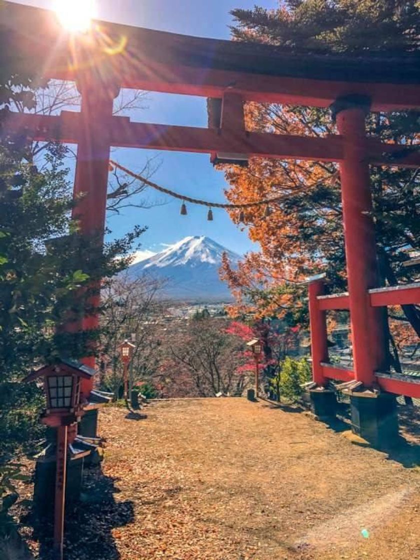 Moda Monte Fuji