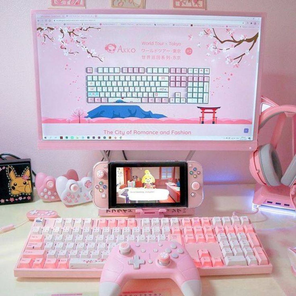 Setup gamer girl