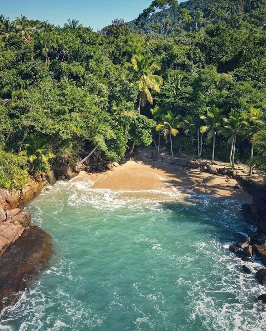 Lugares praia do português, ubatuba