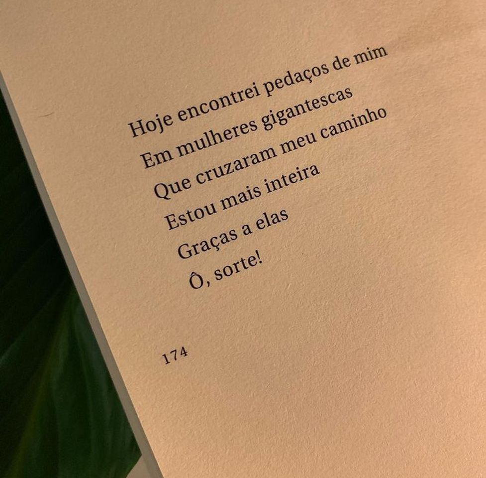 Social Livro- coragem substantivo feminino 