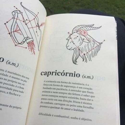 Capricórnio ♑️ 