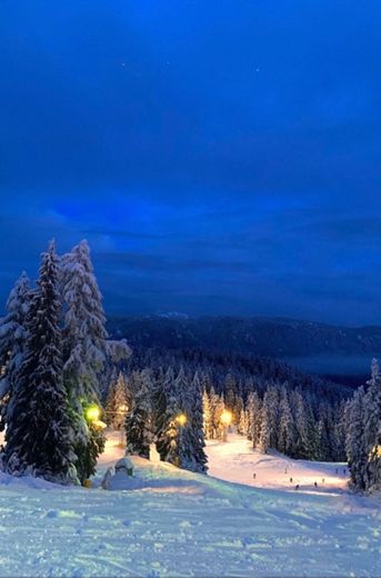 Mount Seymour