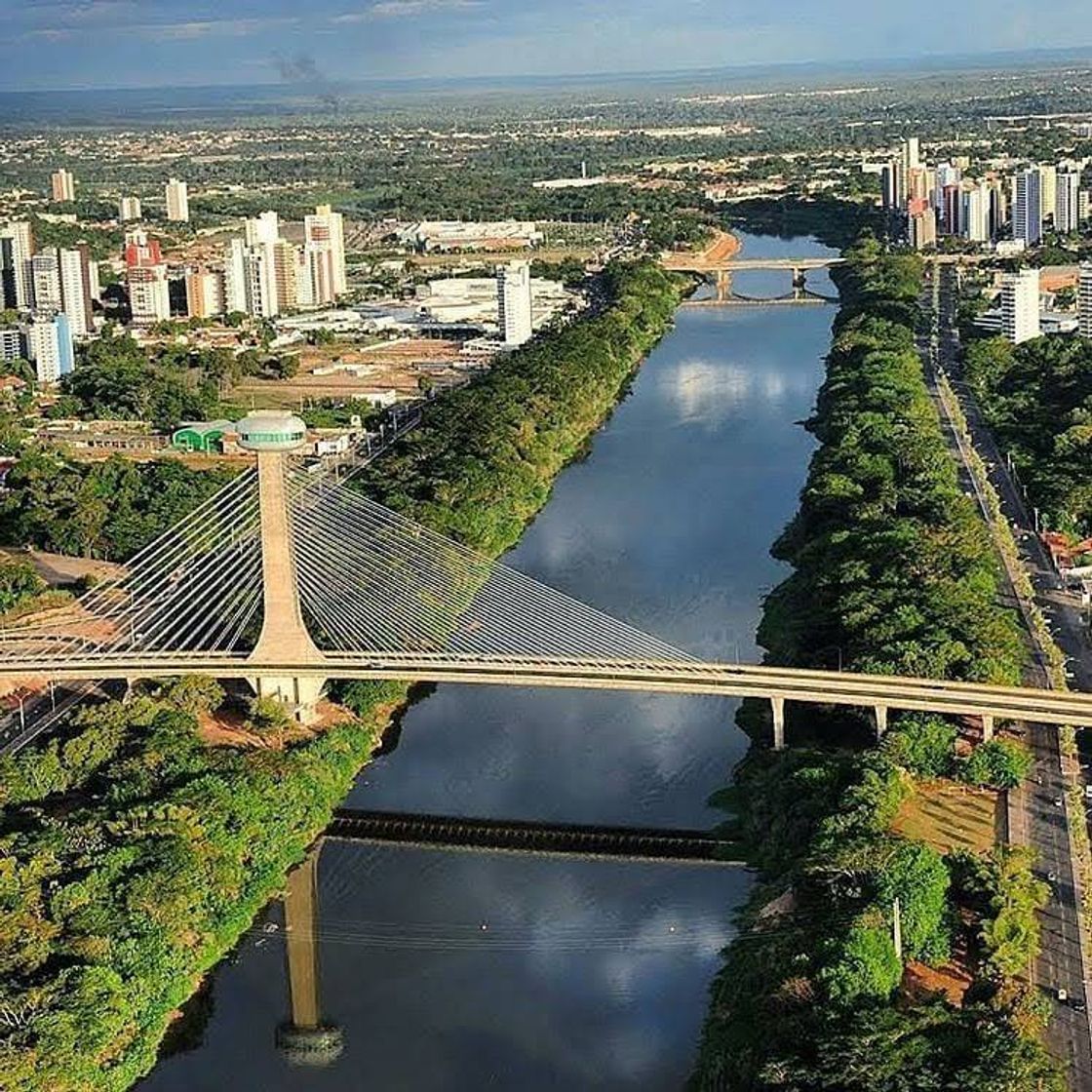 Moda Ponte Estaiada