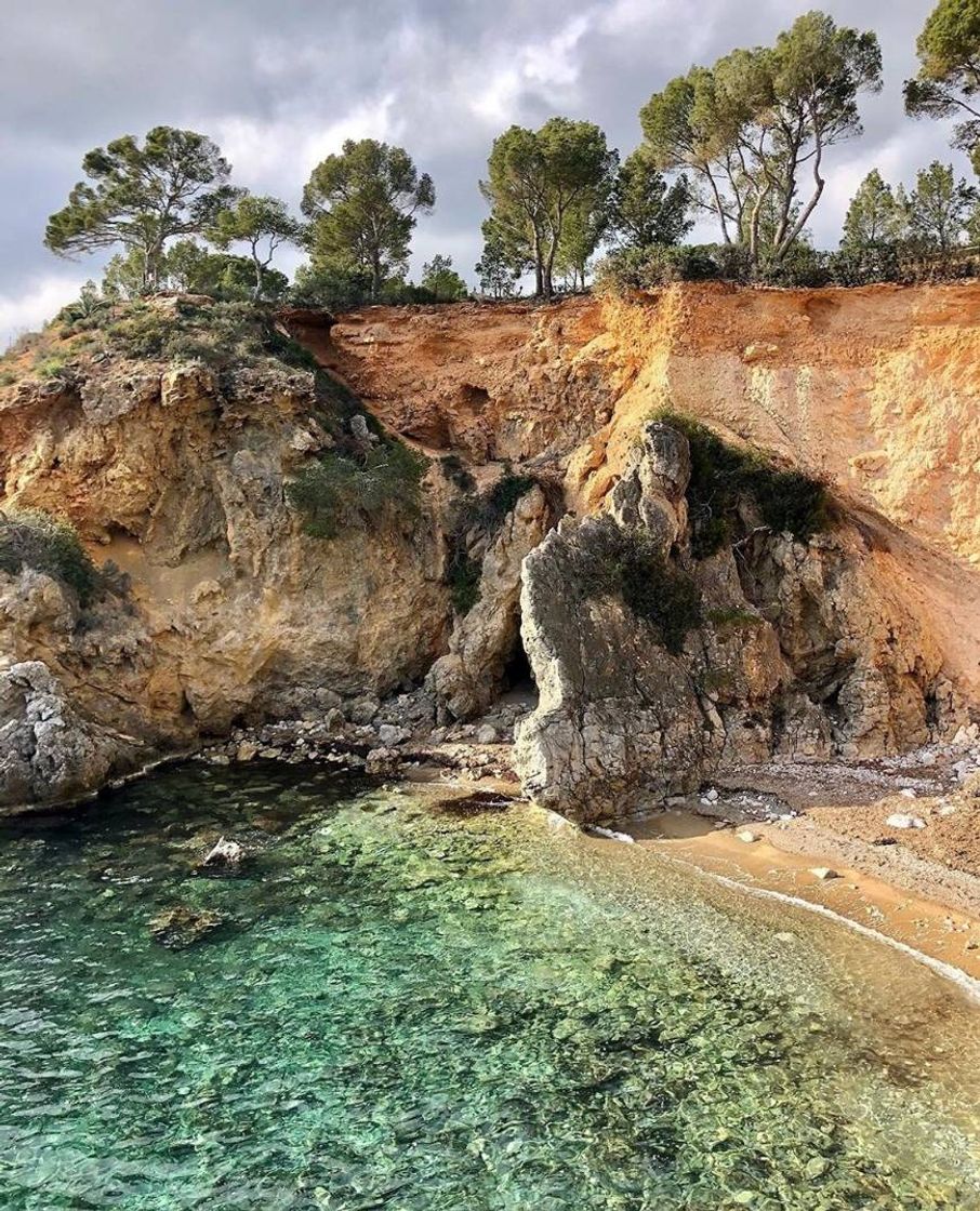 Lugar Cala Punta Negra