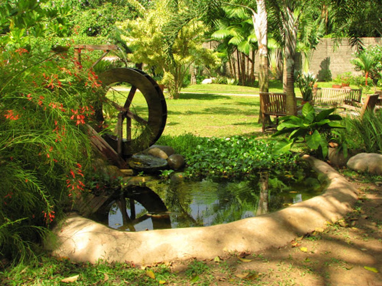 Restaurantes Viveiro Tracoá