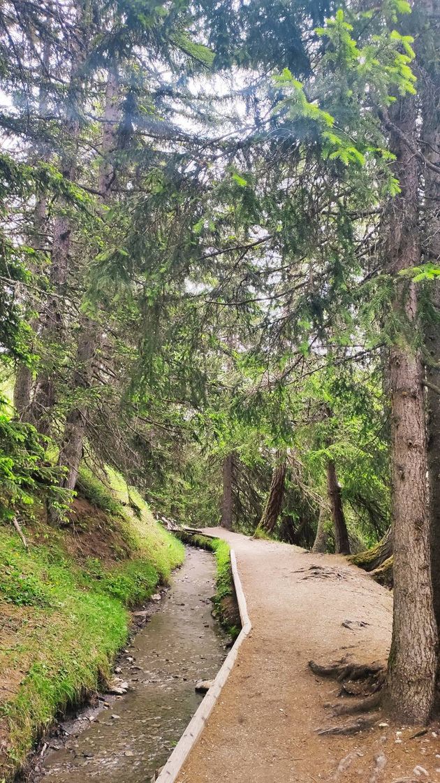 Lugares Bisse de Tsittoret