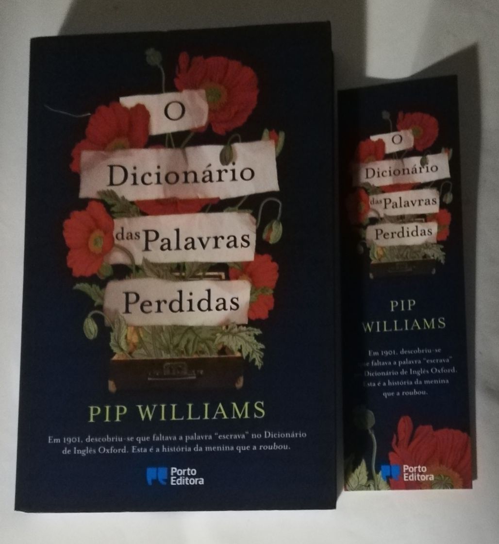 Libro O Dicionário Das Palavras Perdidas 