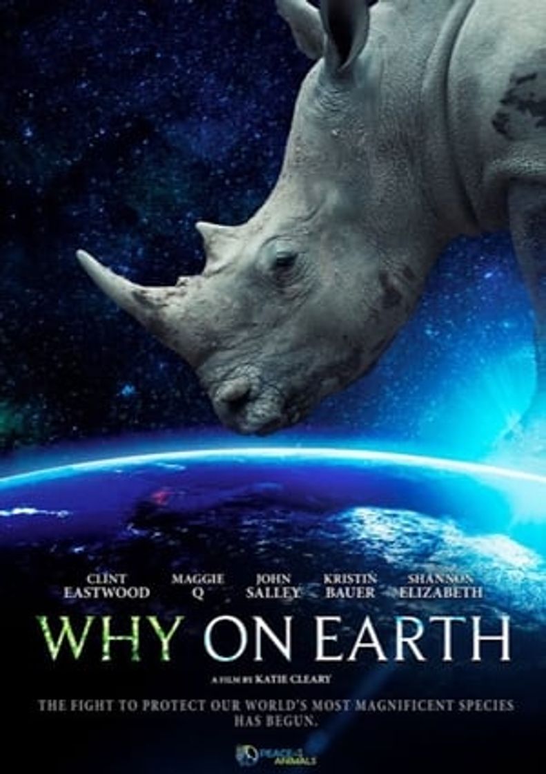 Película Why on Earth