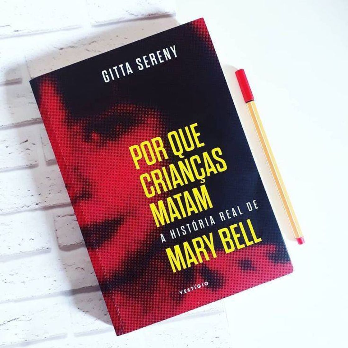 Book Livro - por que crianças matam