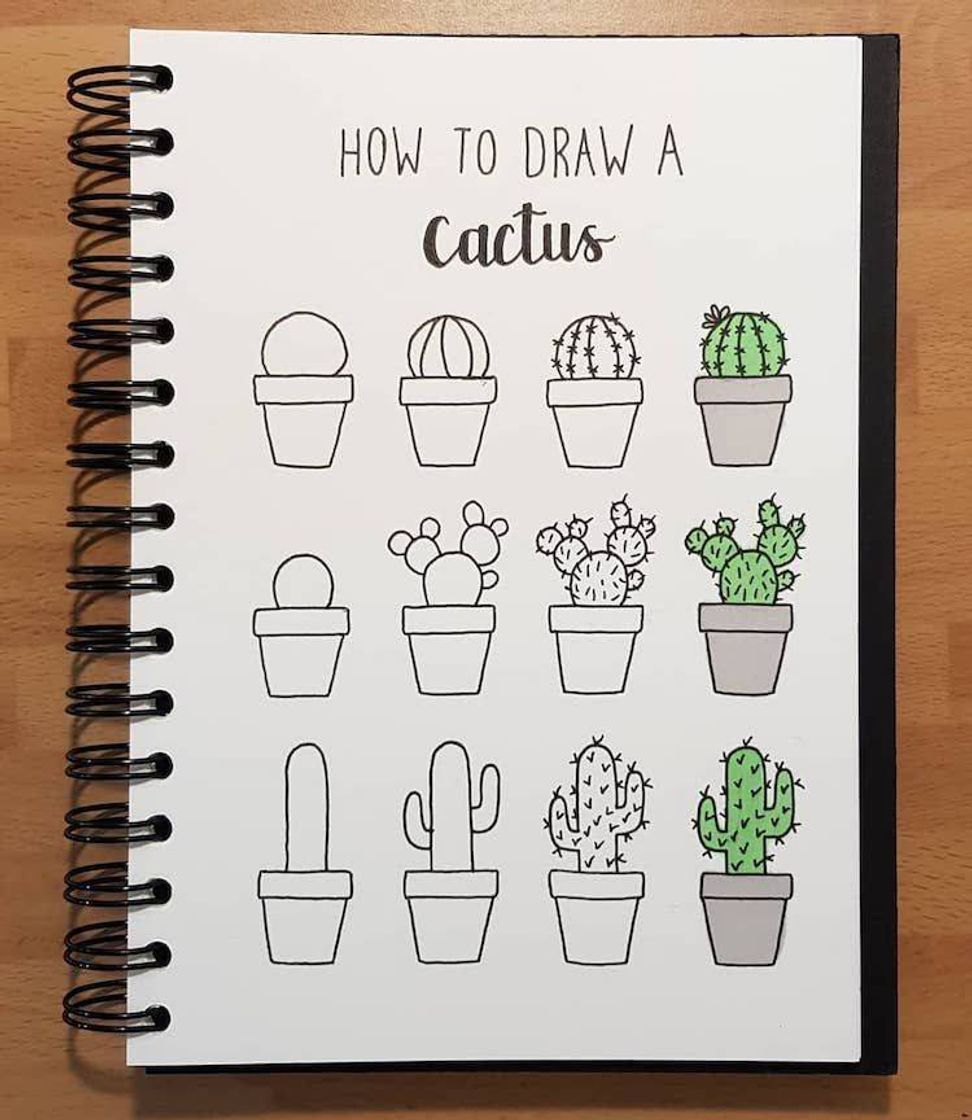 Moda Desenhos simples 🌵