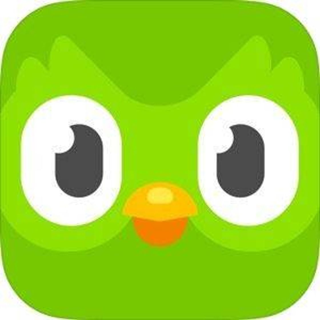 Moda Duolingo ✎📔