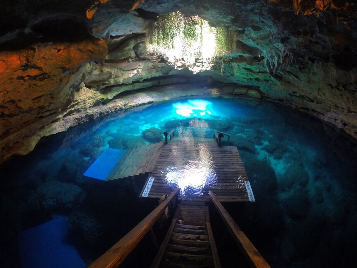 Place Devil's Den Spring