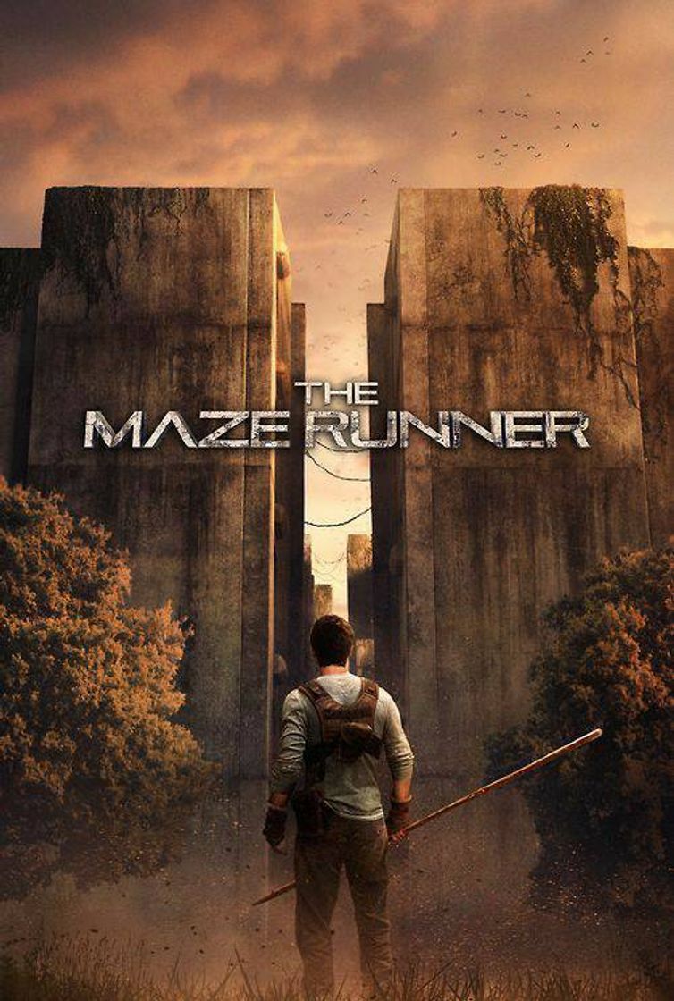 Movie Maze runner