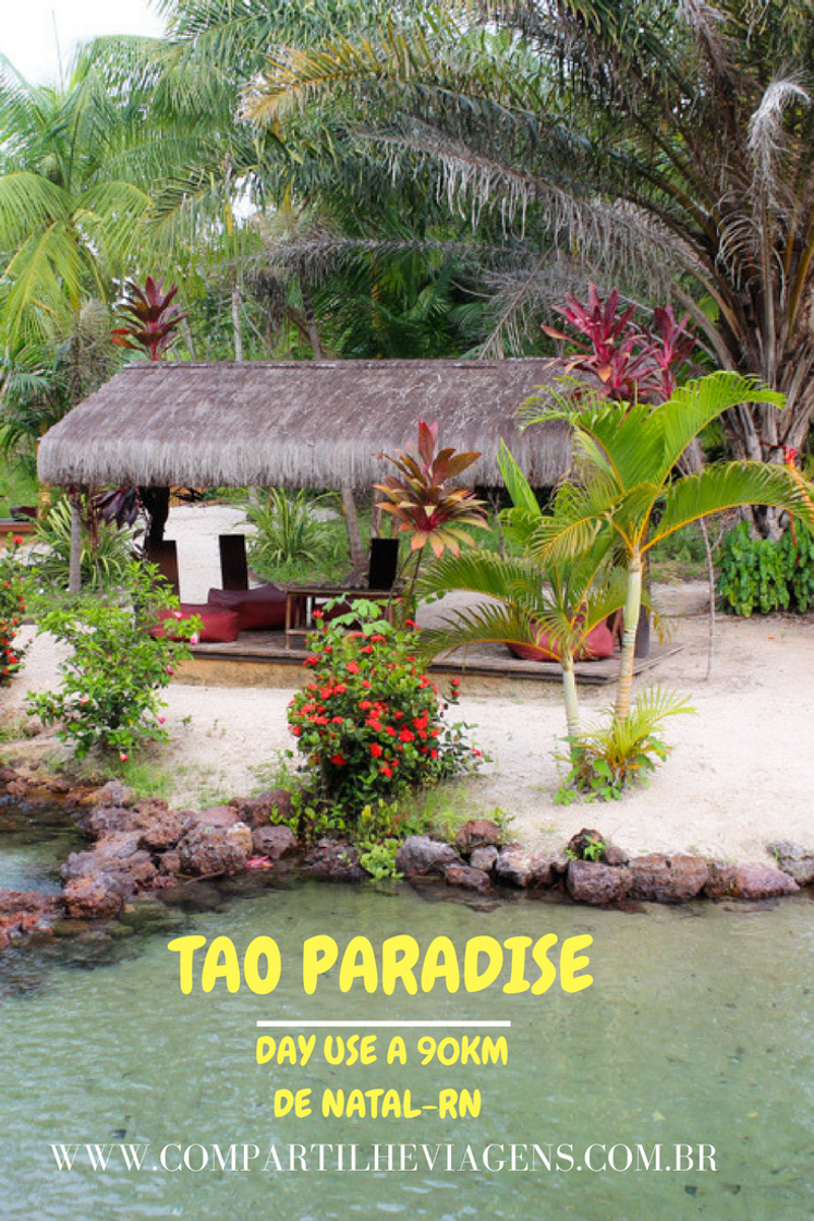 Restaurants Tao Paradise