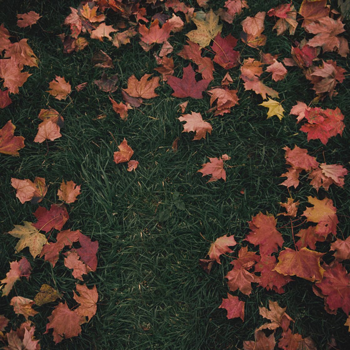 Music October Passed Me By