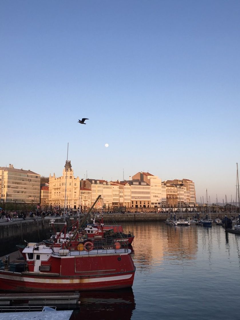 Place Coruña