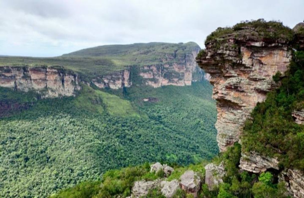 Lugar Parque nacional de la Chapada Diamantina