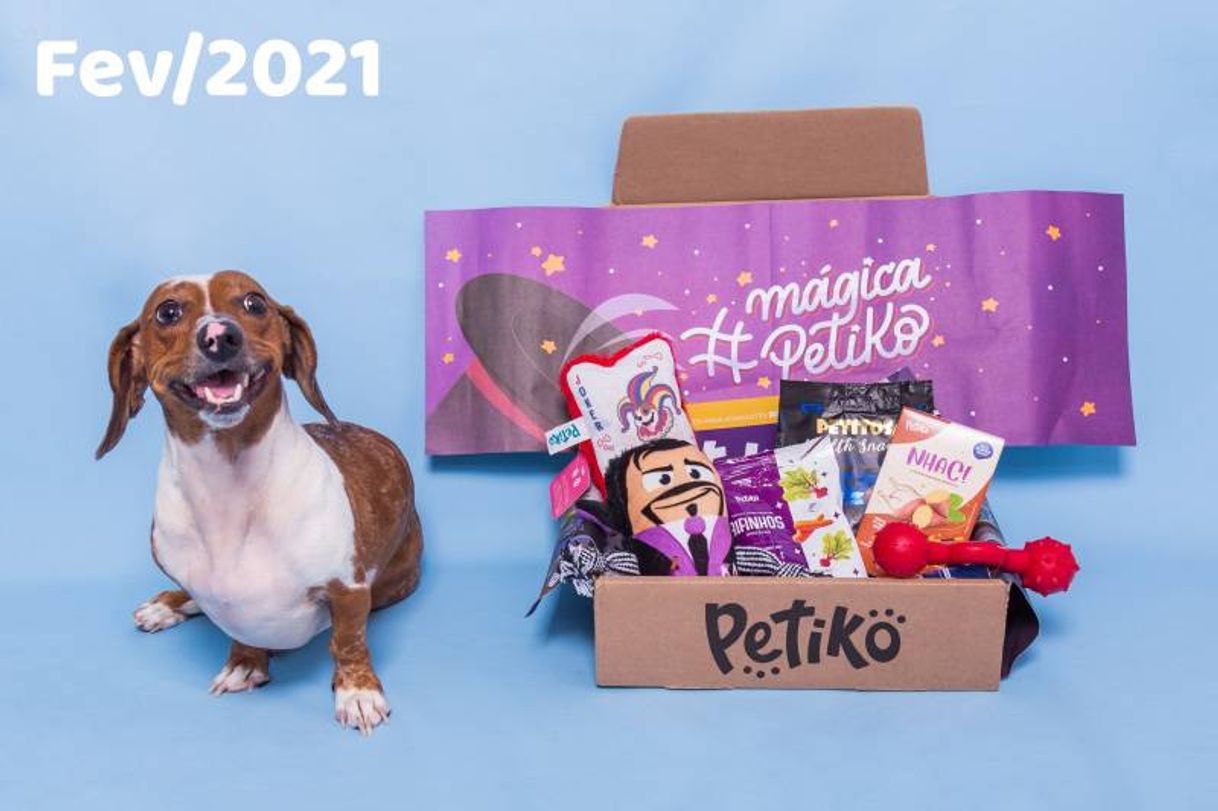 Fashion Box Petiko | Seu Pet Merece