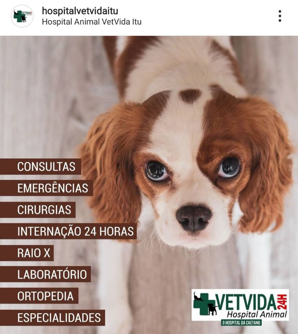 Fashion Hospital Veterinário 24Hr