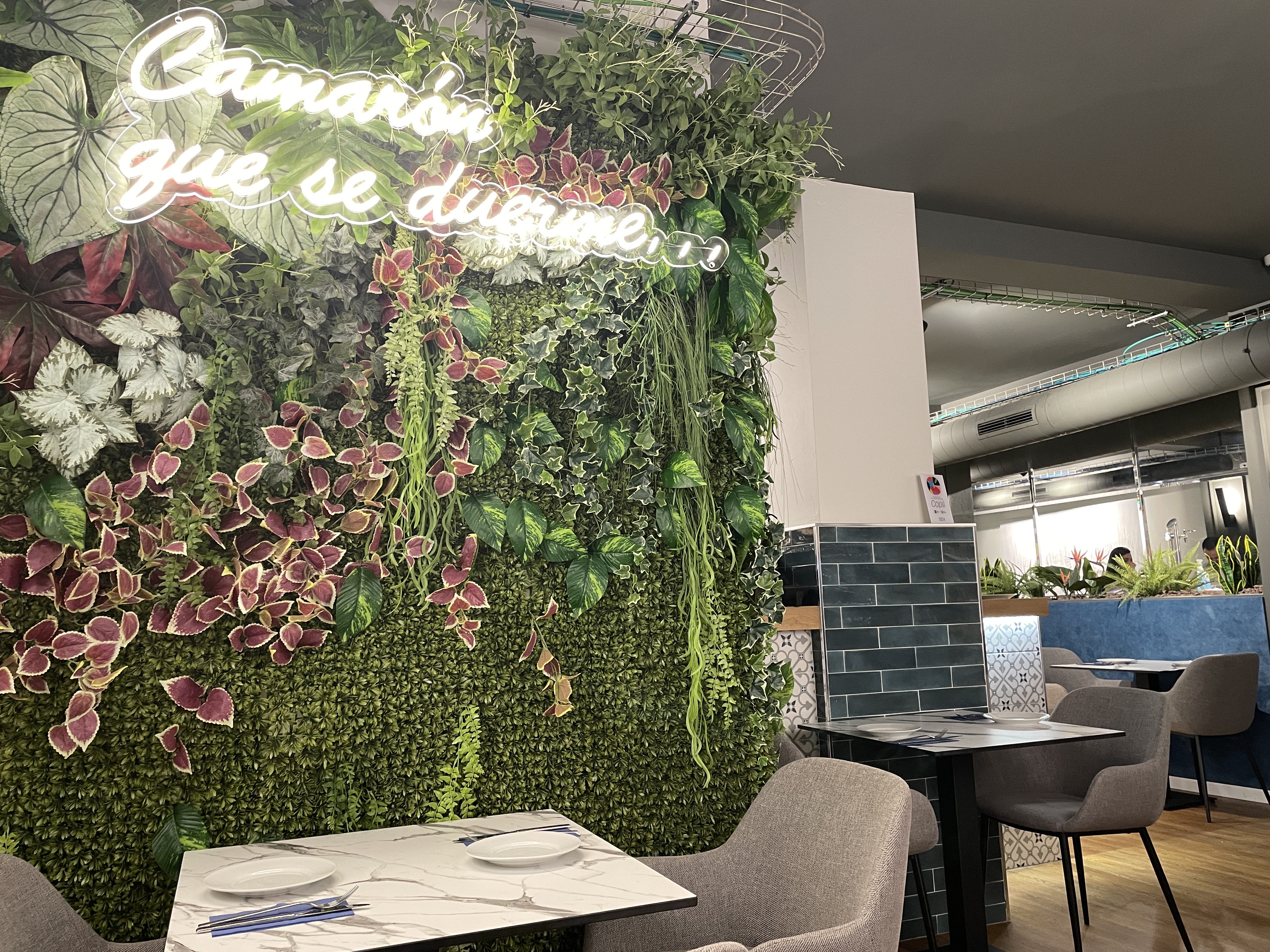 Restaurantes Los Aguachiles Velázquez