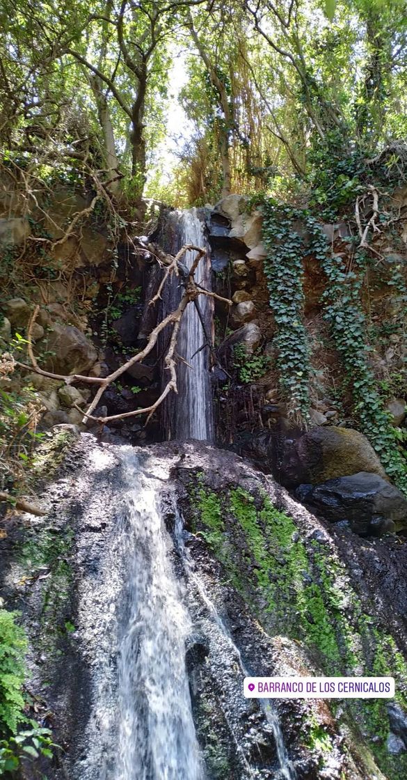 Lugar Barranco de los Cernícalos