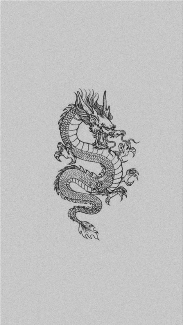 Social Dragon chino