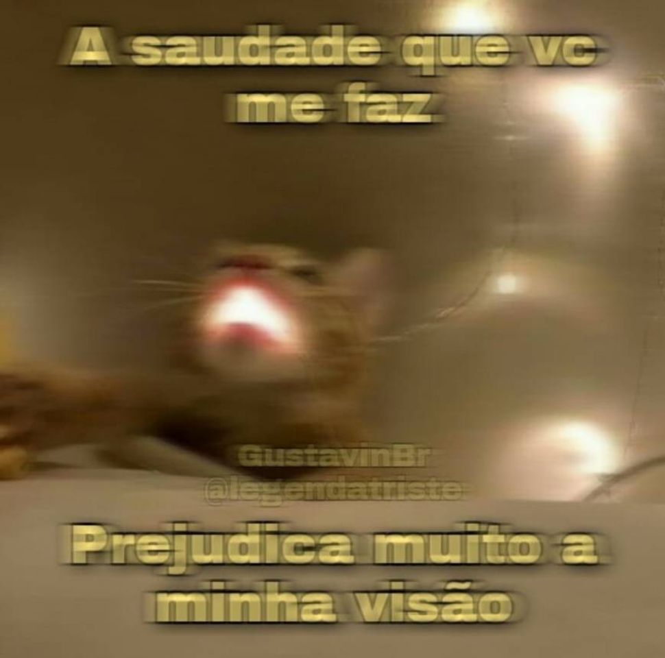 Moda °• meme •°