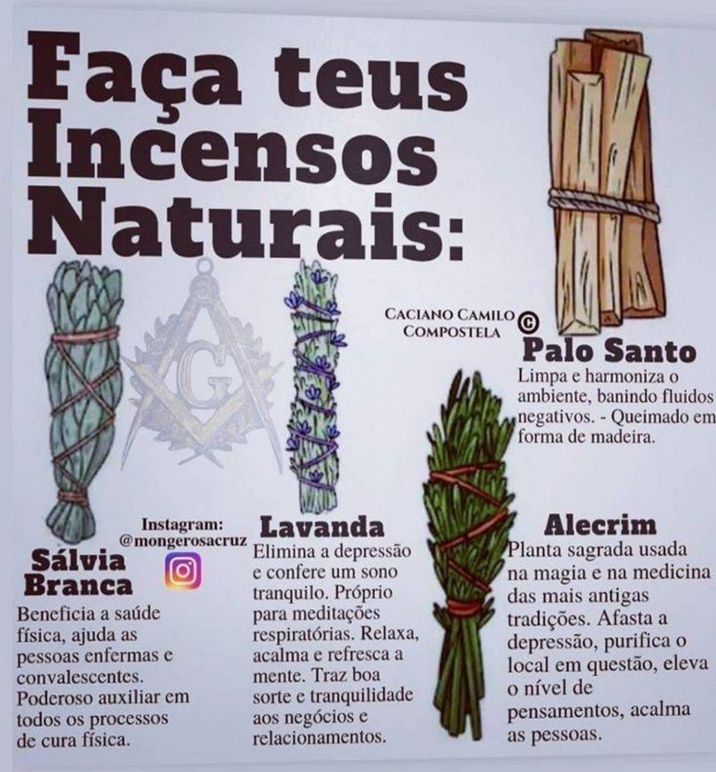 Fashion Bruxaria natural 🧹