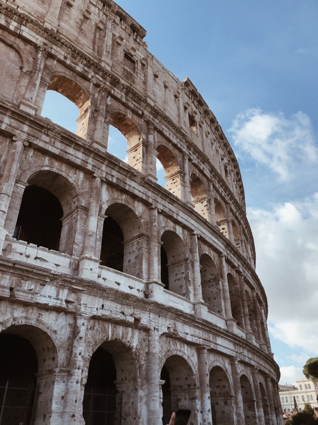 Lugar Coliseo de Roma