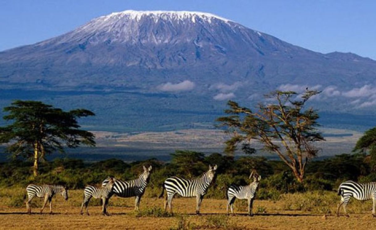 Lugar Kilimanjaro