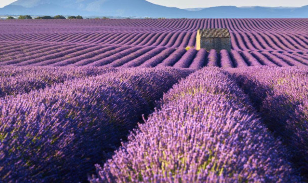 Lugar Provence