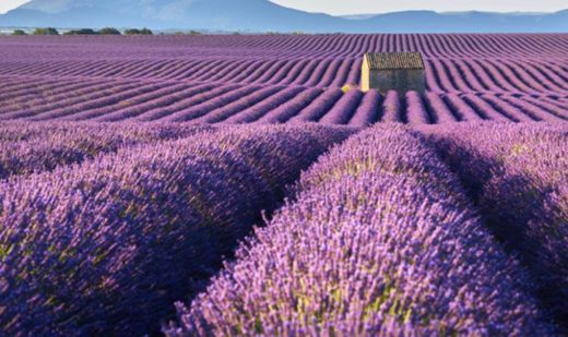 Provence