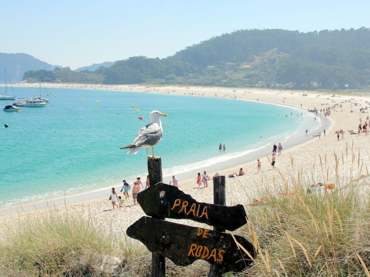 Lugar Playa de Rodas