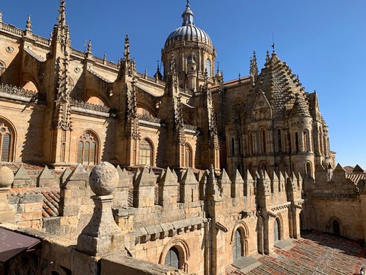 Place Catedral de Salamanca