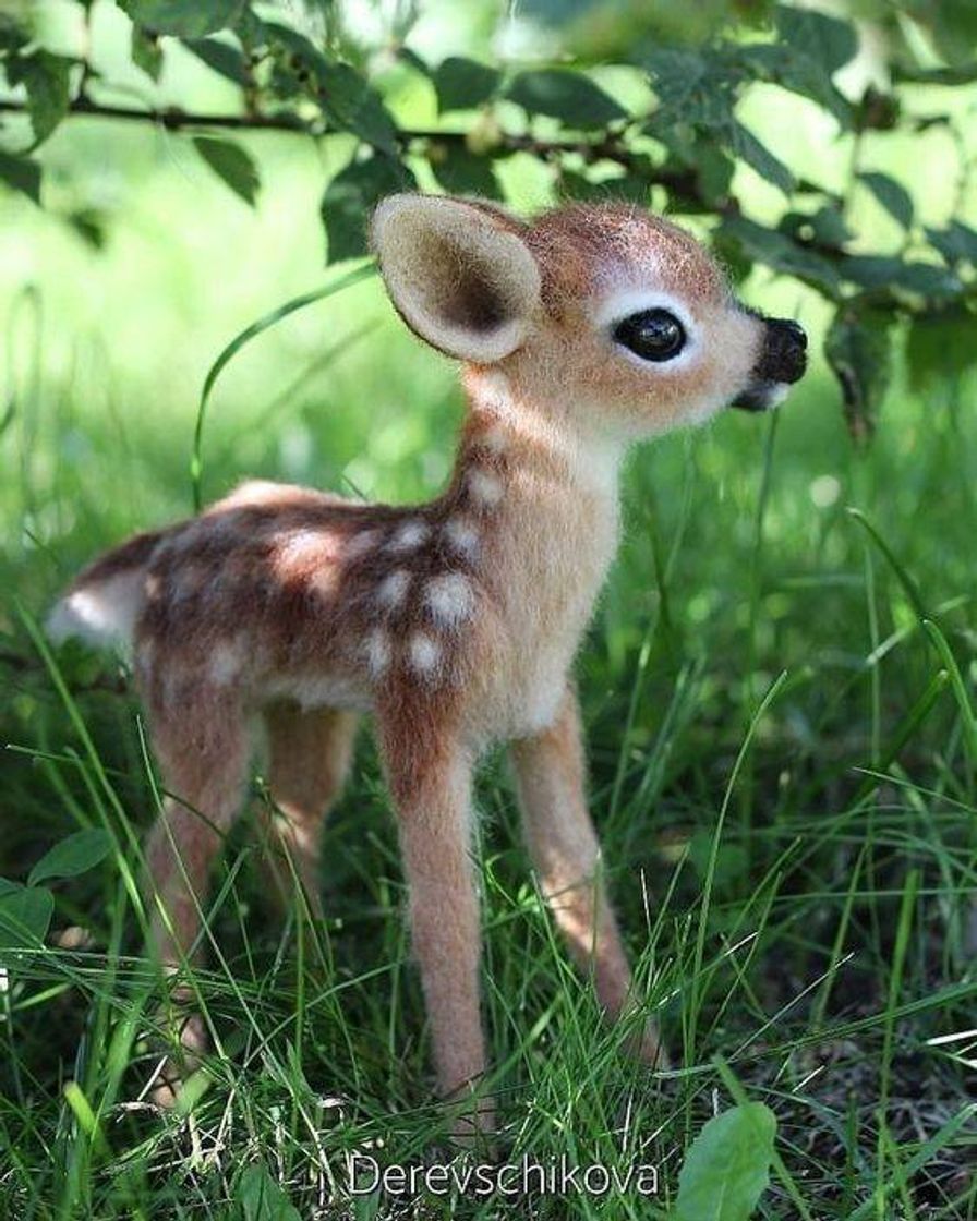 Fashion Bambi