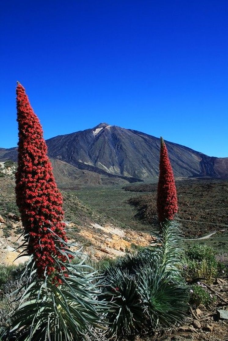 Lugar Teide