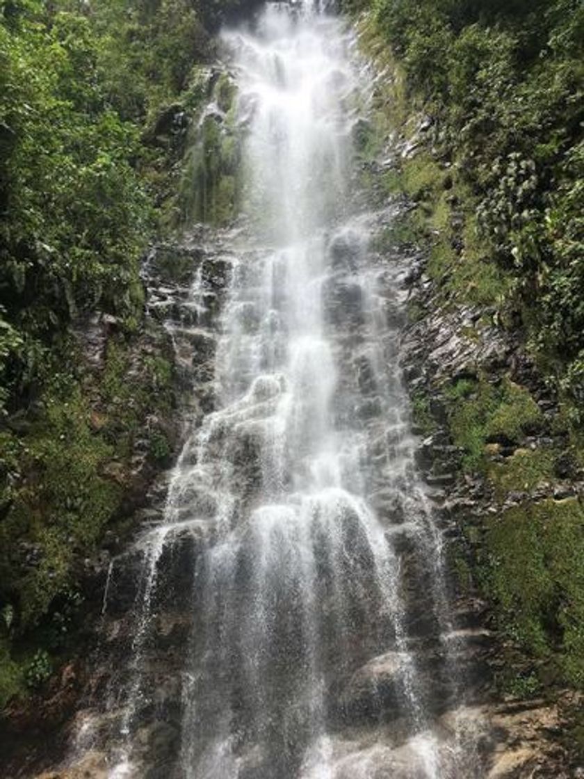 Place Tapantí National Park