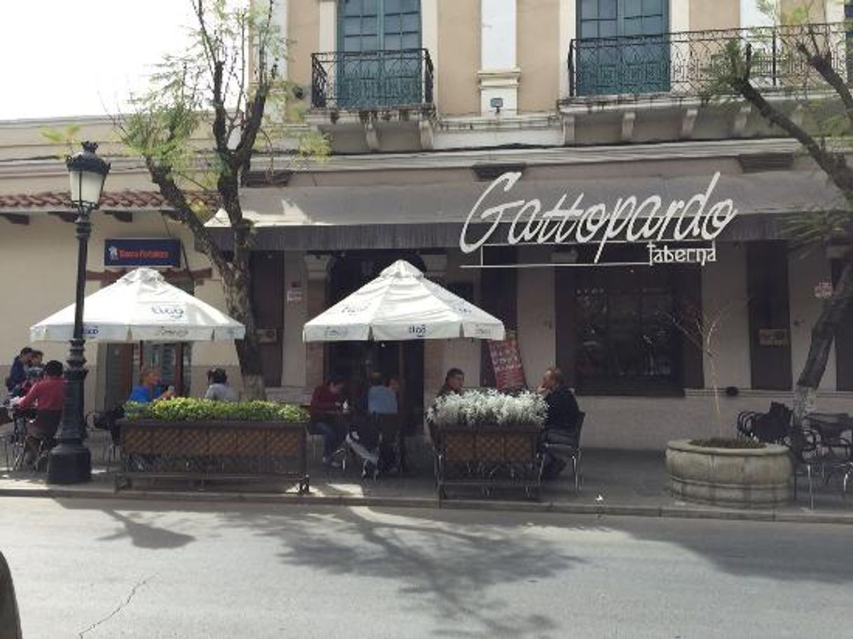 Restaurants Gattopardo