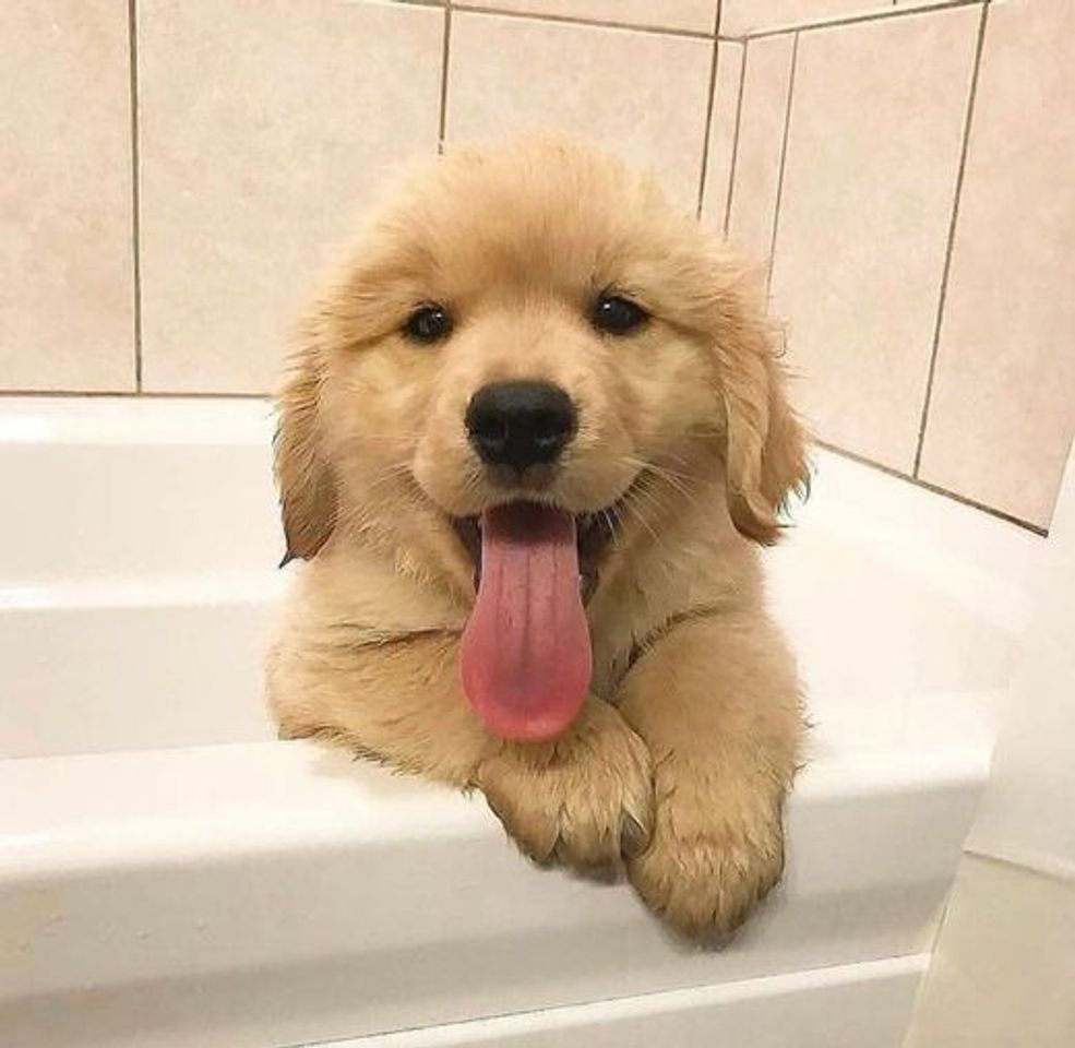 Social h o r a  d o  b a n h o 