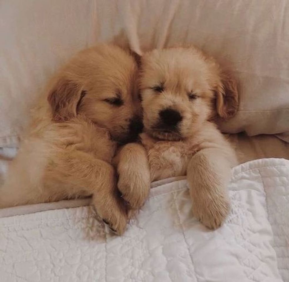 Social v a m o  a c o r d a r  p e s s o a l 