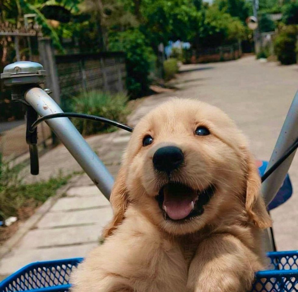 Social v o c ê  d i s s e  p a s s e a r ? 